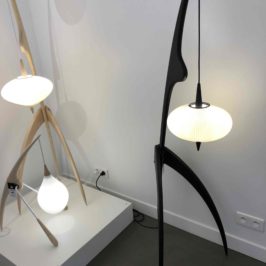 Suspensions diverses Rispal