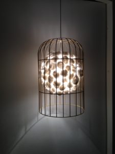 Cage
